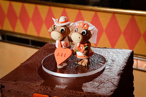 weddings-al61.jpg